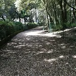 Le Soleil Et La *