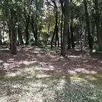 Le Soleil Et La Pornichet