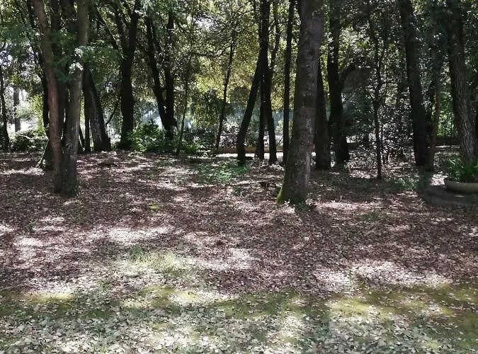 Le Soleil Et La بورنيشّيه