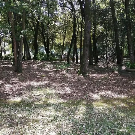 Le Soleil Et La Pornichet