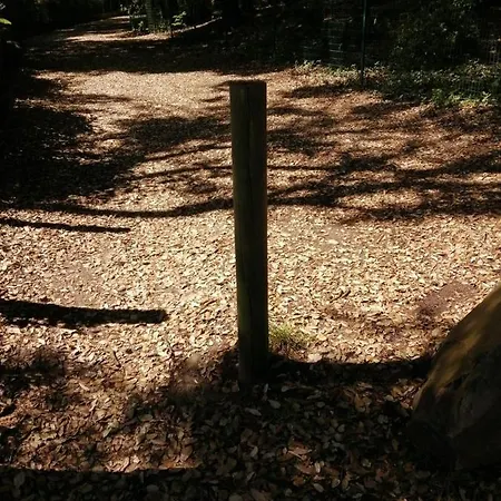 Le Soleil Et La Pornichet