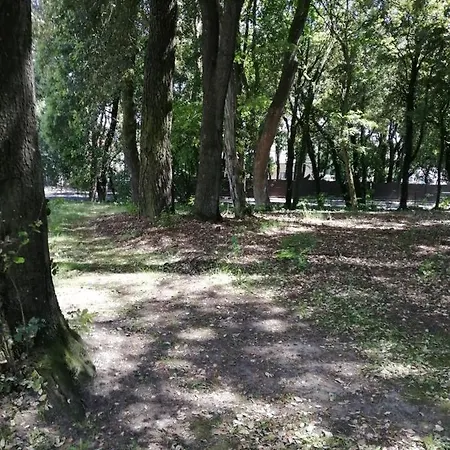 Le Soleil Et La Appartement Pornichet