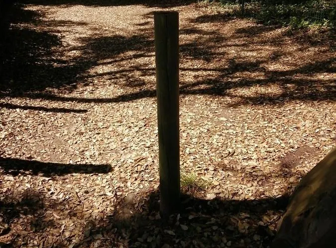 Le Soleil Et La Pornichet